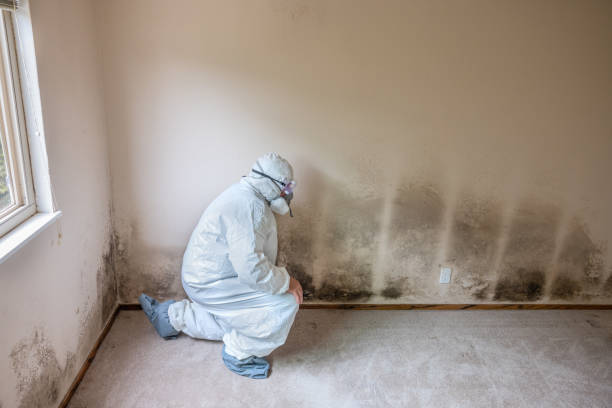 Best Crawl Space Mold Removal  in Monroeville, IN